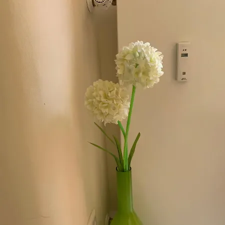 Im Osteiner Hof * ماينتس