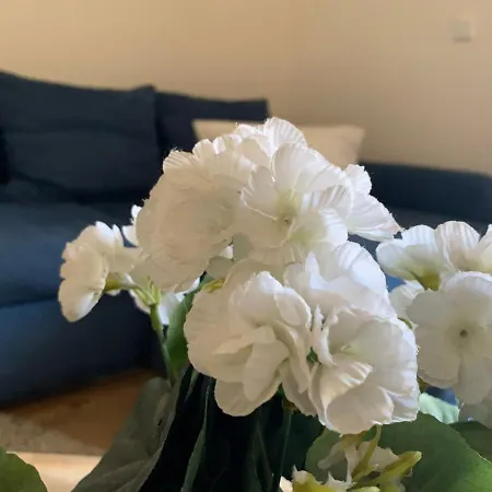 Im Osteiner Hof Apartment