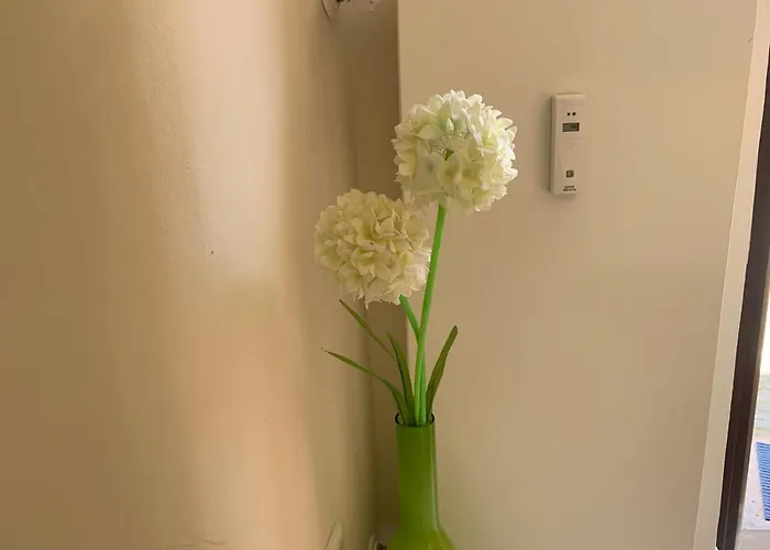 Im Osteiner Hof * Mainz