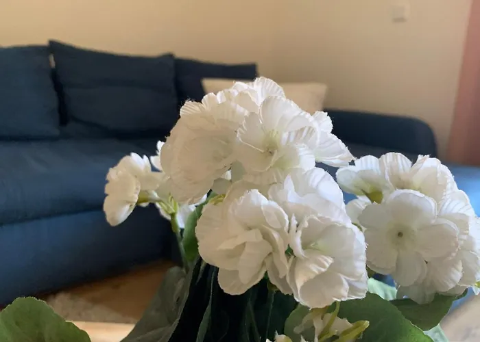 Im Osteiner Hof Apartment