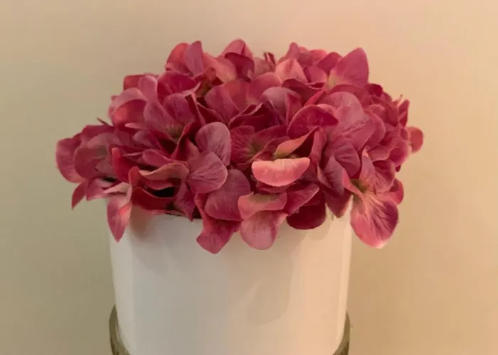 Apartment Im Osteiner Hof Mainz