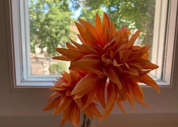 Apartment Im Osteiner Hof