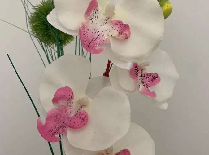 Apartment Im Osteiner Hof Mainz