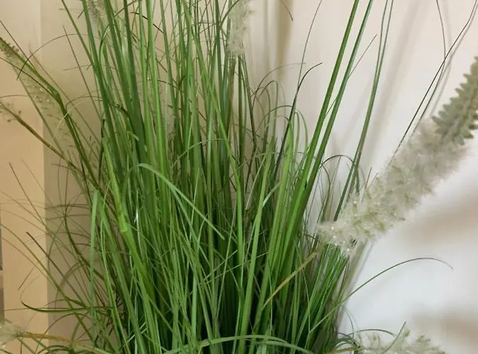 Im Osteiner Hof Apartment Mainz