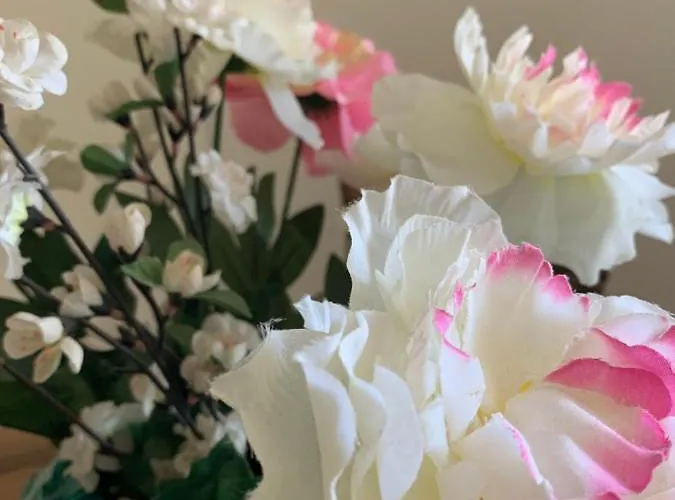 Im Osteiner Hof Apartment *